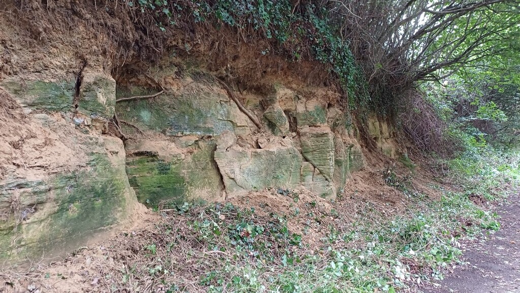 Timsbury Rocks Appreciating, conserving and promoting Somerset's diverse geology ...