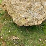 11. Ham Hill - Flowstone