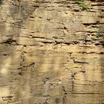 13. Ham Hill - Deep Quarry (Jackdaws Quarry next door is in a different Parish)