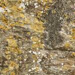 2. Ham Hill - Calcite crystals aligned in vertical crack due to compression and masonry bee holes in softer rock