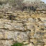 3. Ham Hill - Top beds are thin and used for tiles