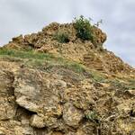 9. Ham Hill - Tufa (top of photo)