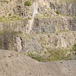 Moon's Hill Quarry showing a vertical bedding plane